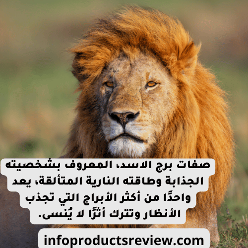 صفات برج الاسد