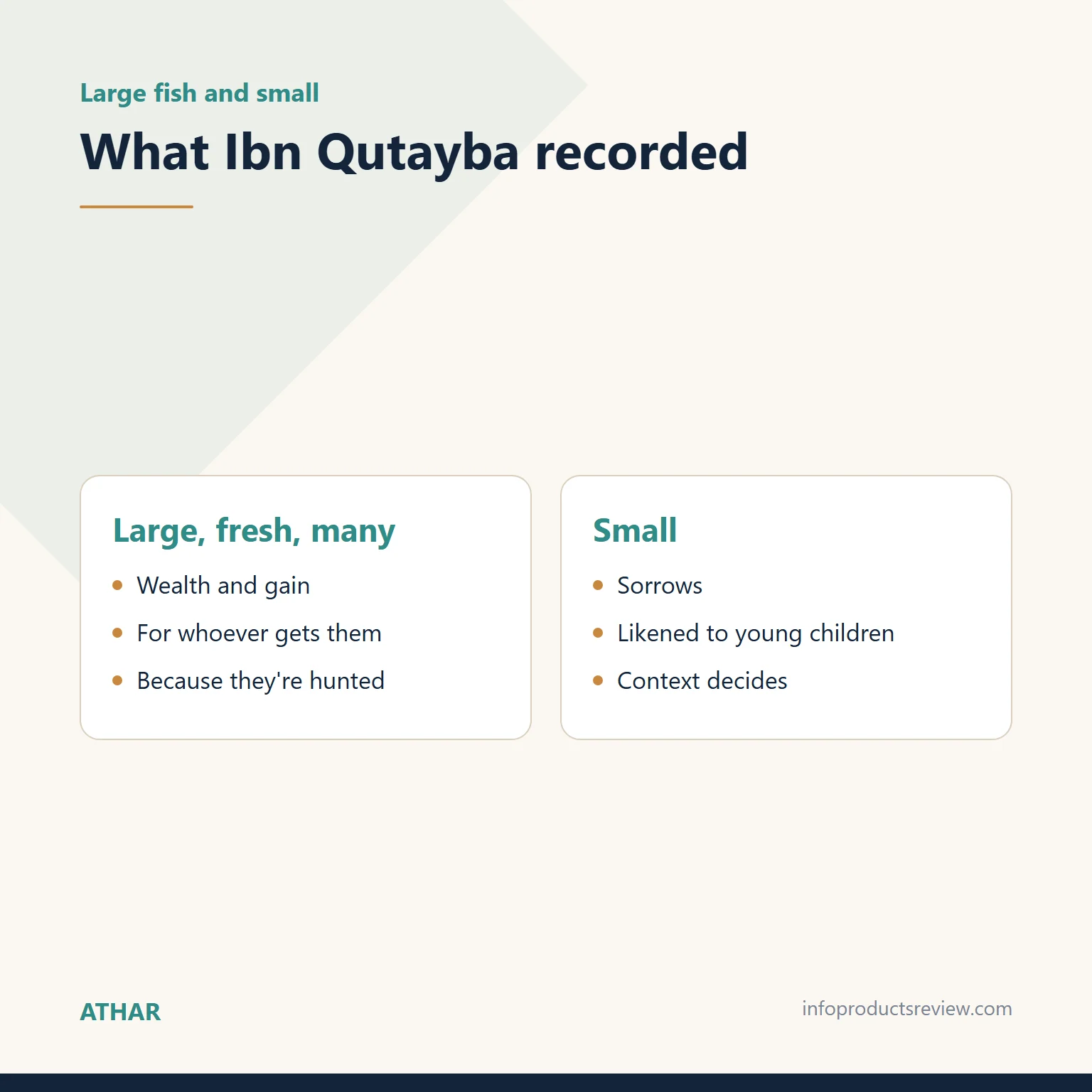 Comparison of Ibn Qutayba's readings of large, plentiful fish and small fish