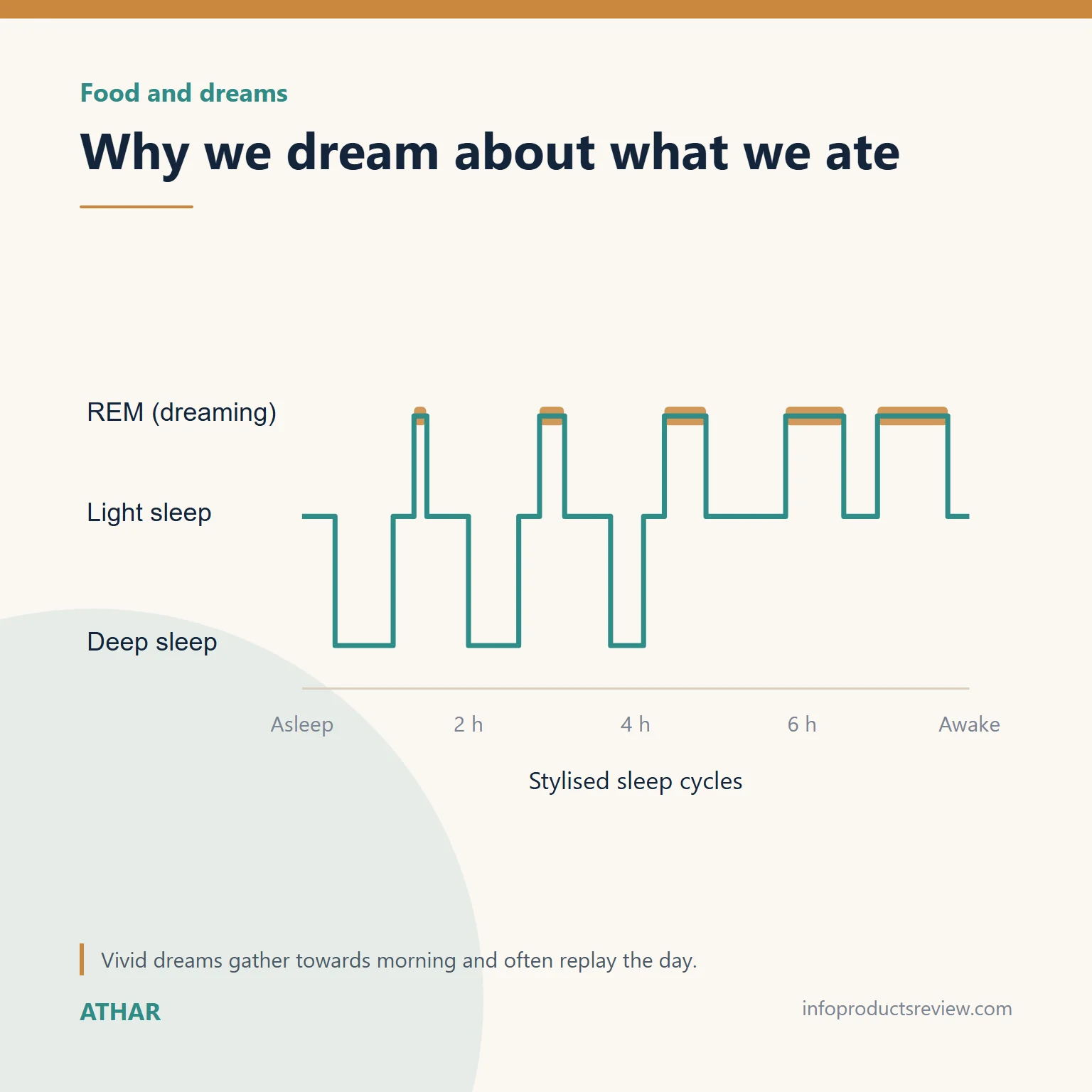 Stylised sleep-cycle chart showing dreaming periods lengthening toward morning