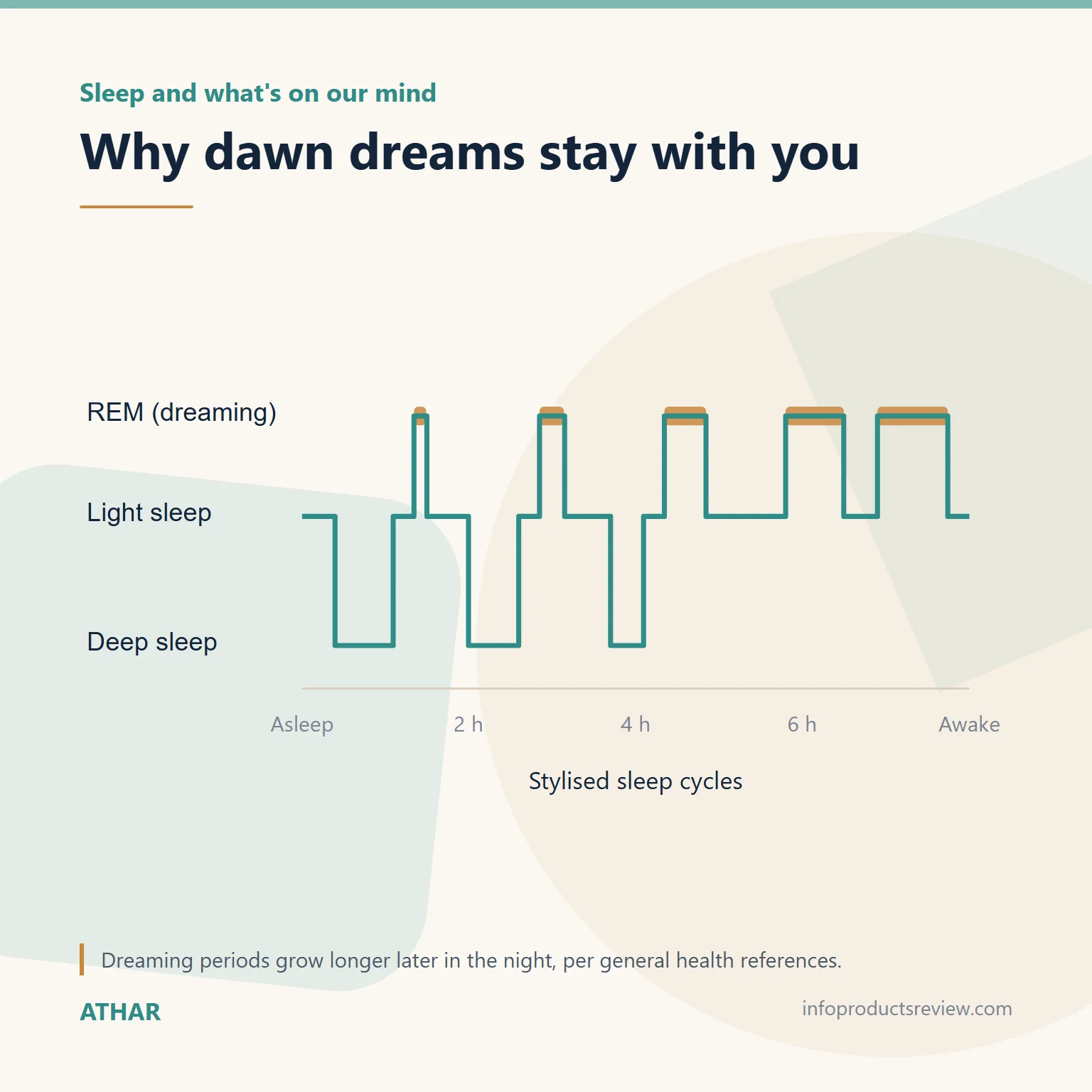Stylised sleep-cycle chart showing dreaming periods lengthening toward morning