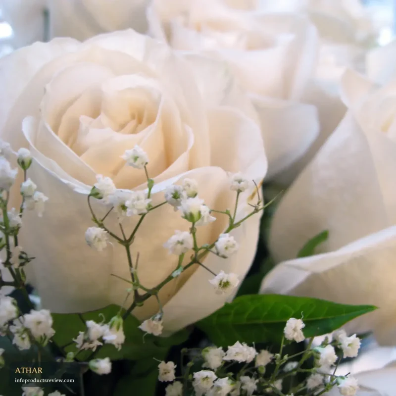 A bouquet of white roses with small, delicate flowers
