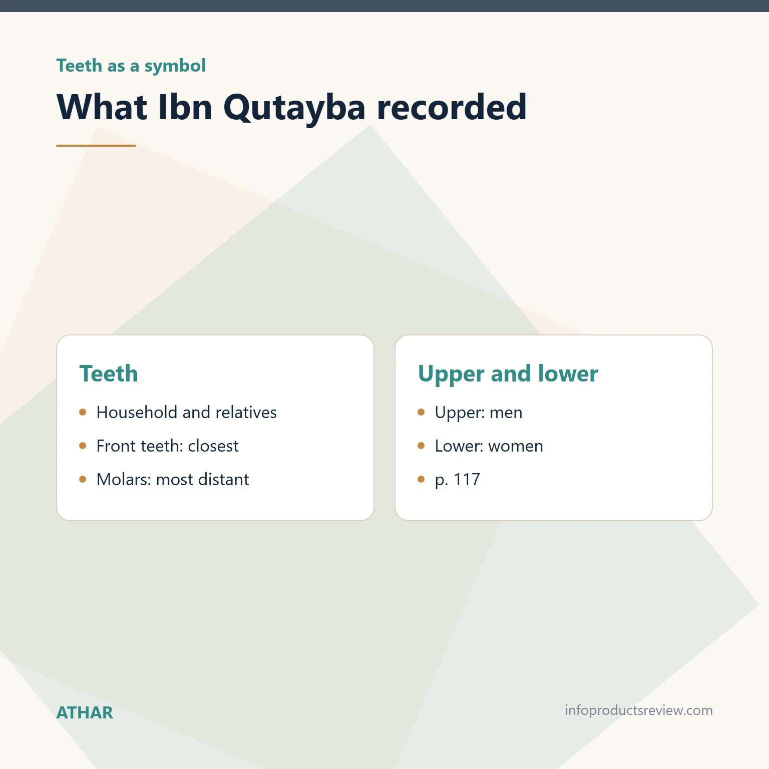 Comparison summarising Ibn Qutayba's reading of teeth
