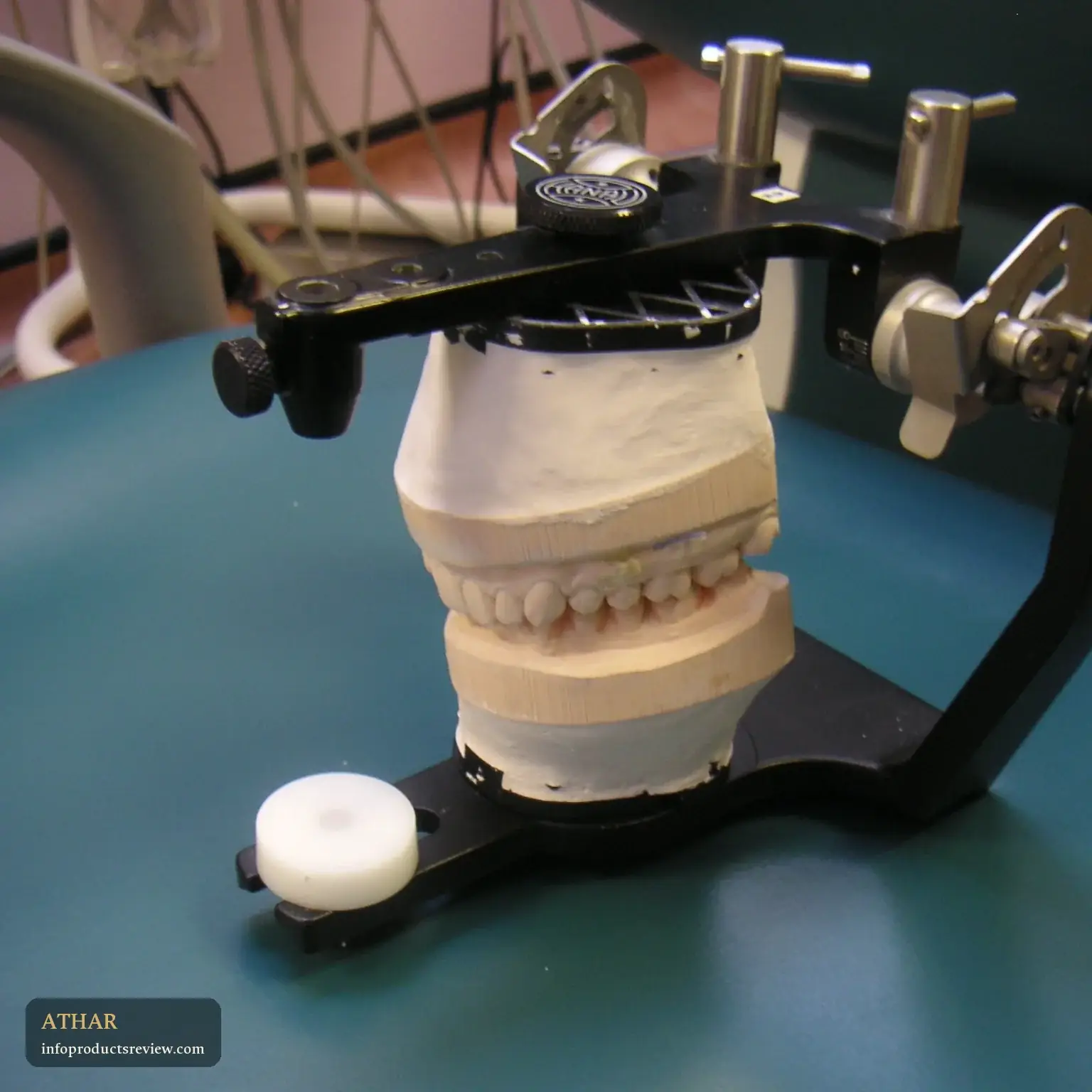 A plaster model of upper and lower teeth in a dental clinic
