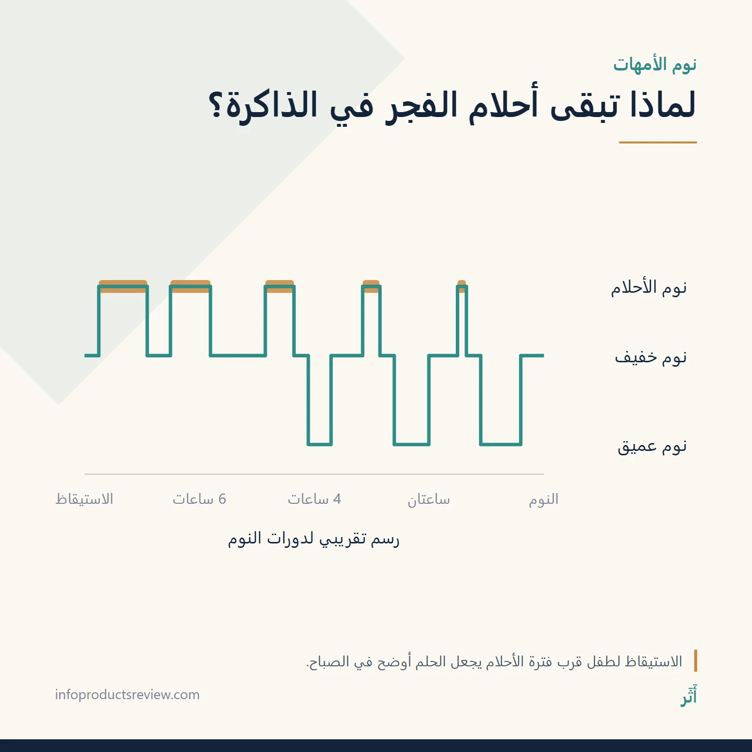 تفسير حلم القمل في الشعر للمتزوجة: المعنى حسب التمشيط والأولاد والتفاصيل 13 رسم تقريبي لدورات النوم يوضح طول فترات الأحلام قرب الفجر
