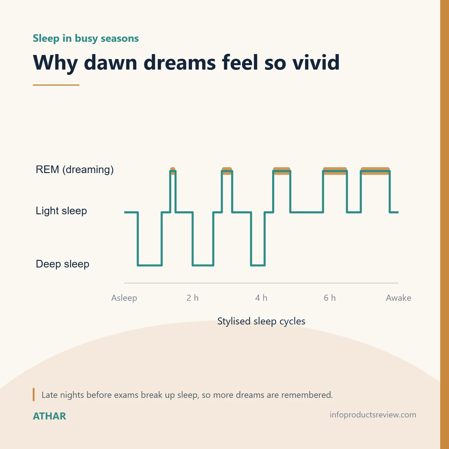 Stylised sleep-cycle chart showing dreaming periods lengthening toward morning