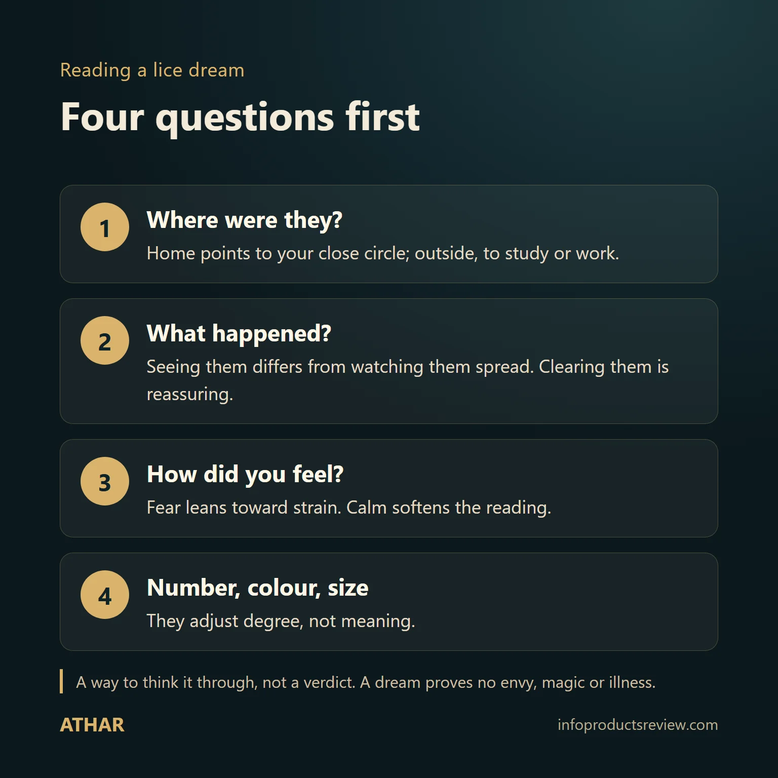 Four-step diagram for reading a lice dream: where they were, what happened, how you felt, then number, colour and size