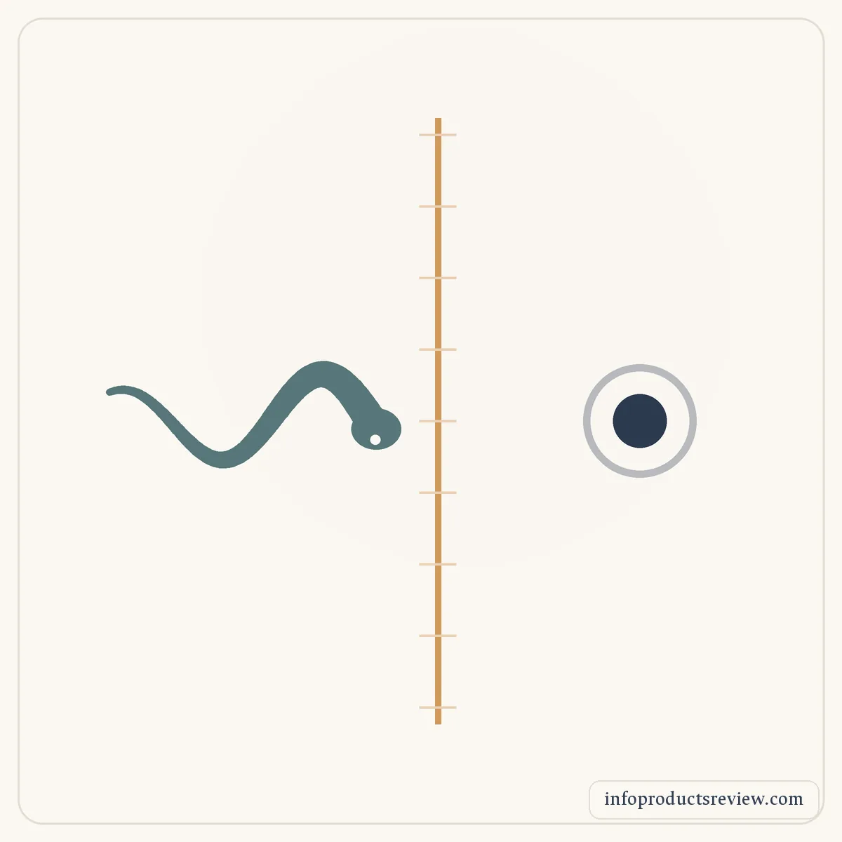 خطّ فاصل بلون ذهبي، وثعبان على أحد جانبيه ونقطة تمثّل الرائي على الجانب الآخر