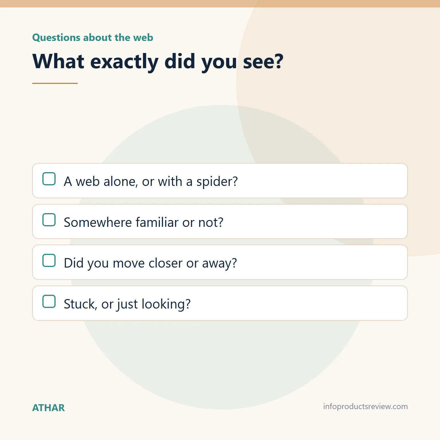 Spider Dream Meaning for a Single Woman: Context, Webs, and What Happened 4 Checklist of questions about the web in the dream