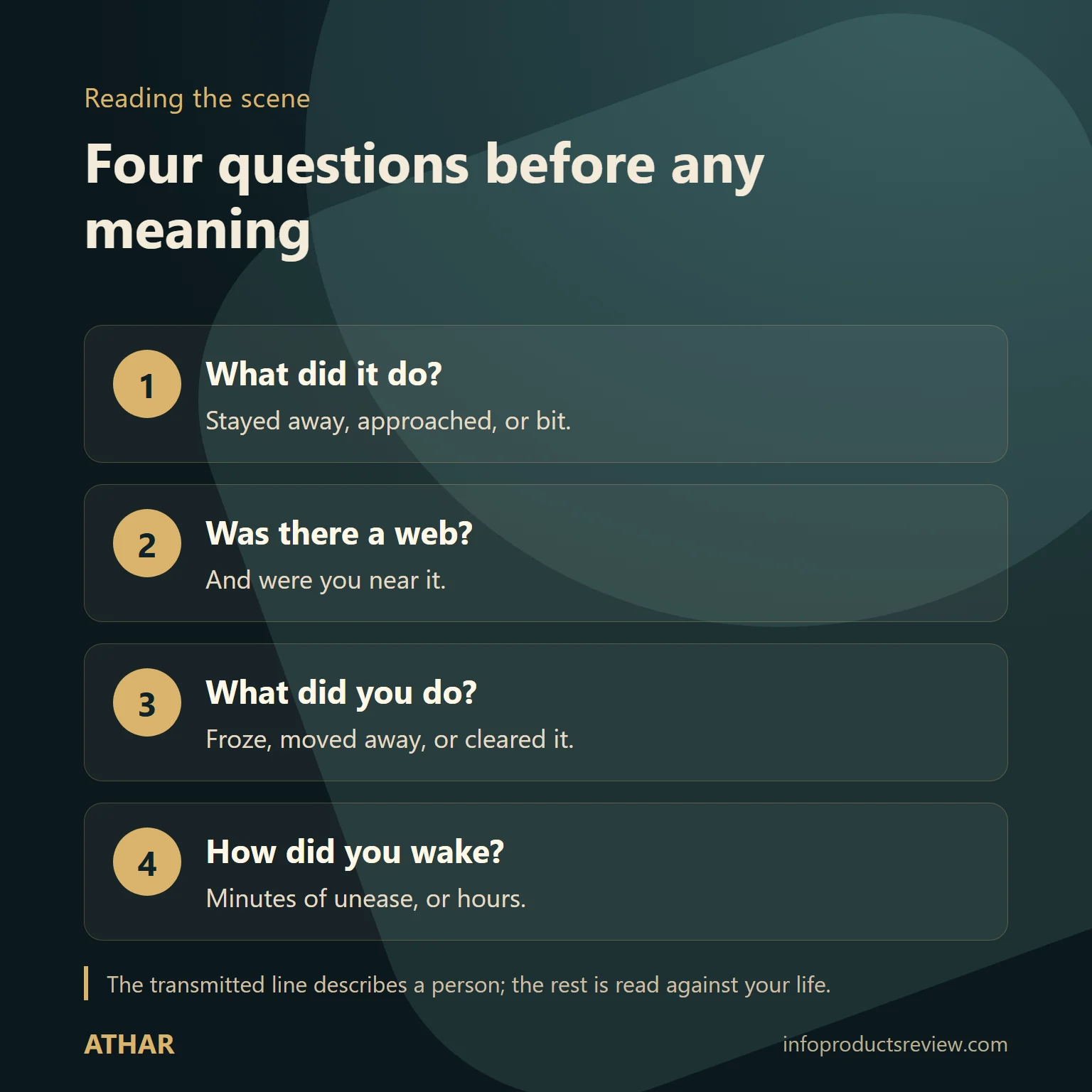 Spider Dream Meaning for a Single Woman: Context, Webs, and What Happened 6 Four-question diagram for reading a spider dream